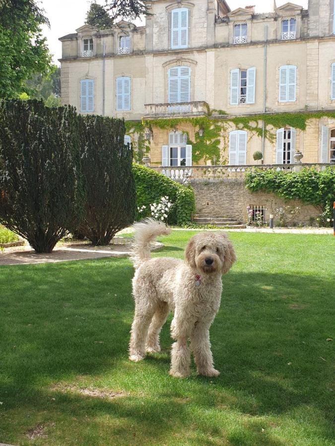 Chateau De Varenne Sauveterre  Dış mekan fotoğraf